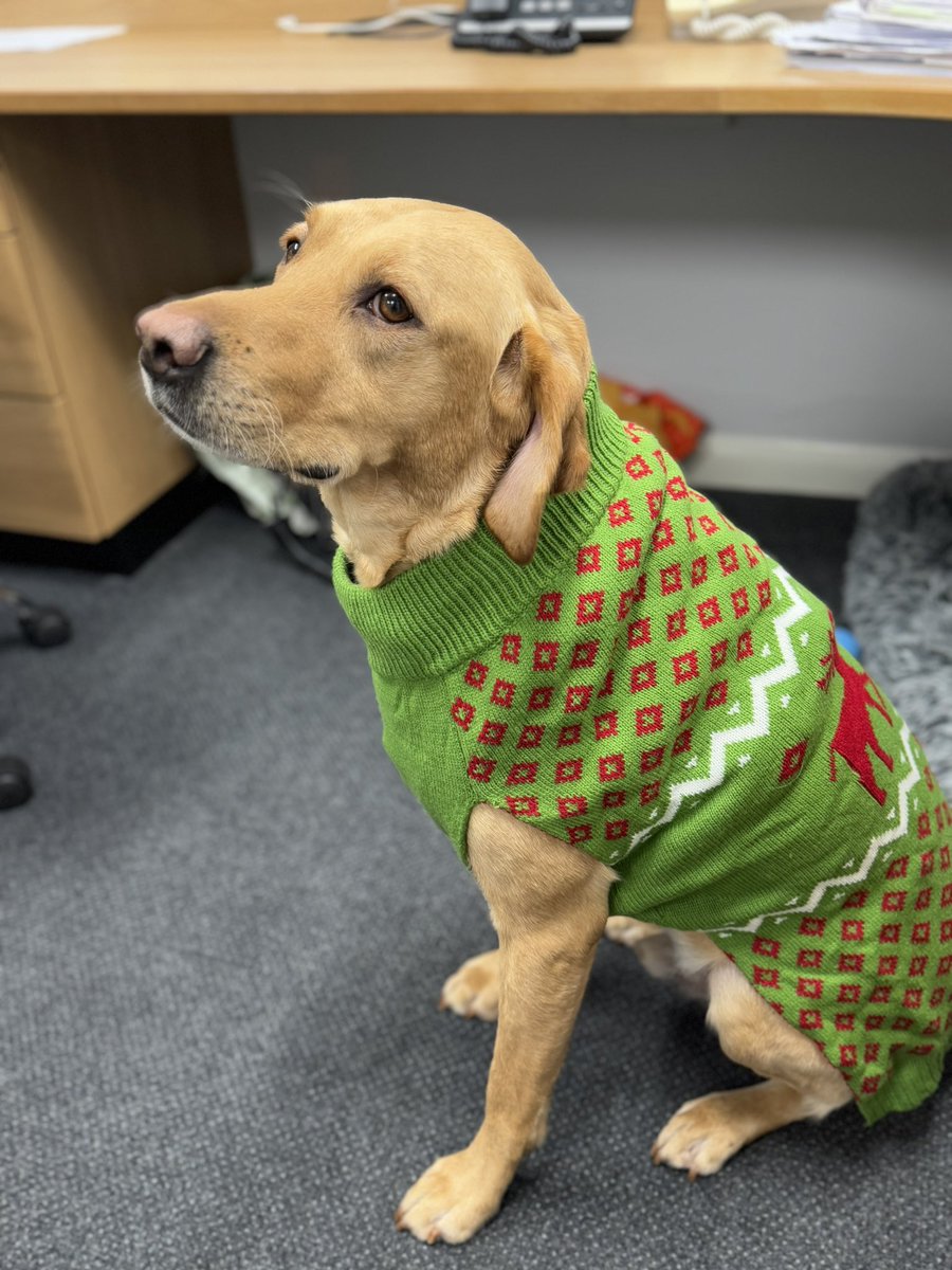 SparksTheDogMentorSPAG tweet media