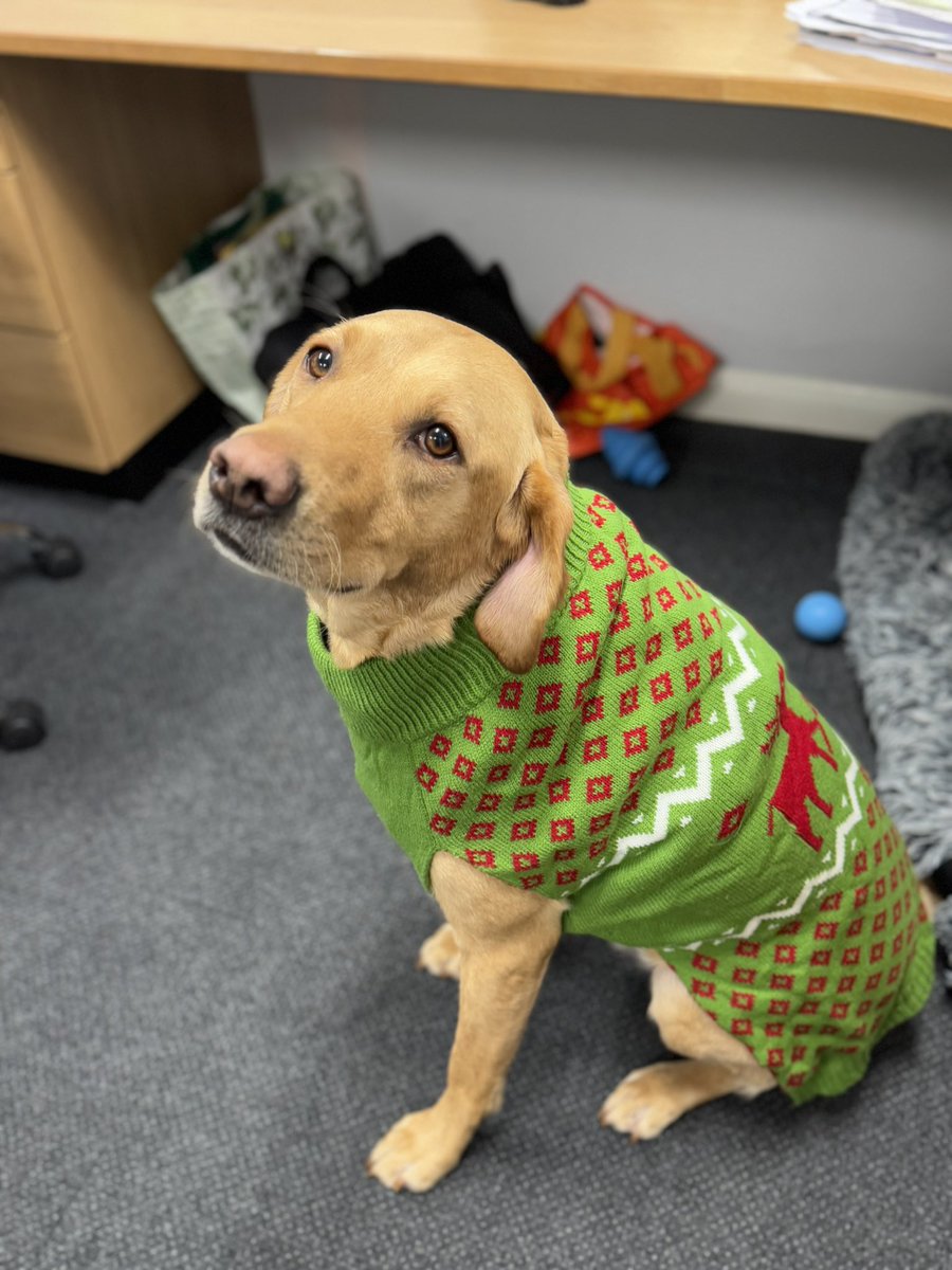 SparksTheDogMentorSPAG tweet media