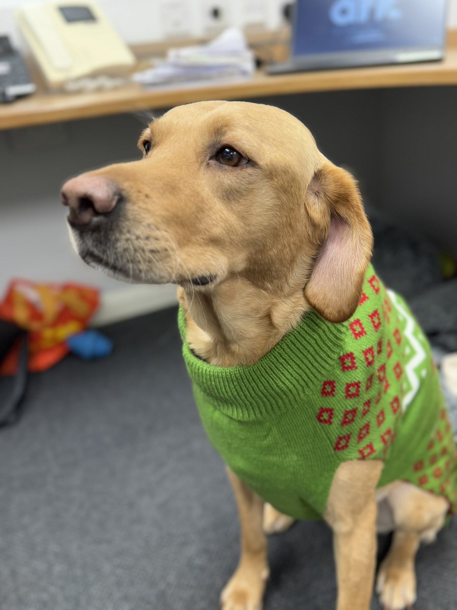 SparksTheDogMentorSPAG tweet media