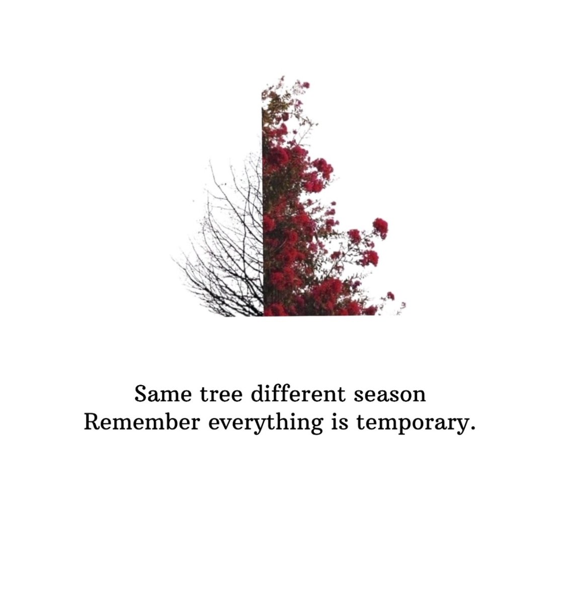 Reminder! 🍂