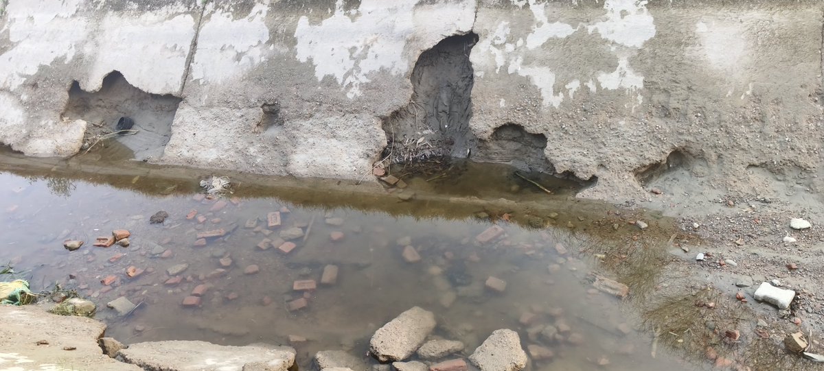 ManishP67430403's tweet photo. @cmohry @NayabSainiBJP @PMOIndia

Namaste sir 

Village khunga kothi yha canal tuti hui h isme durghtna hone ka bhi khtra h .
Karpaya smadhan krae. https://t.co/Mo3B8N1Q1I