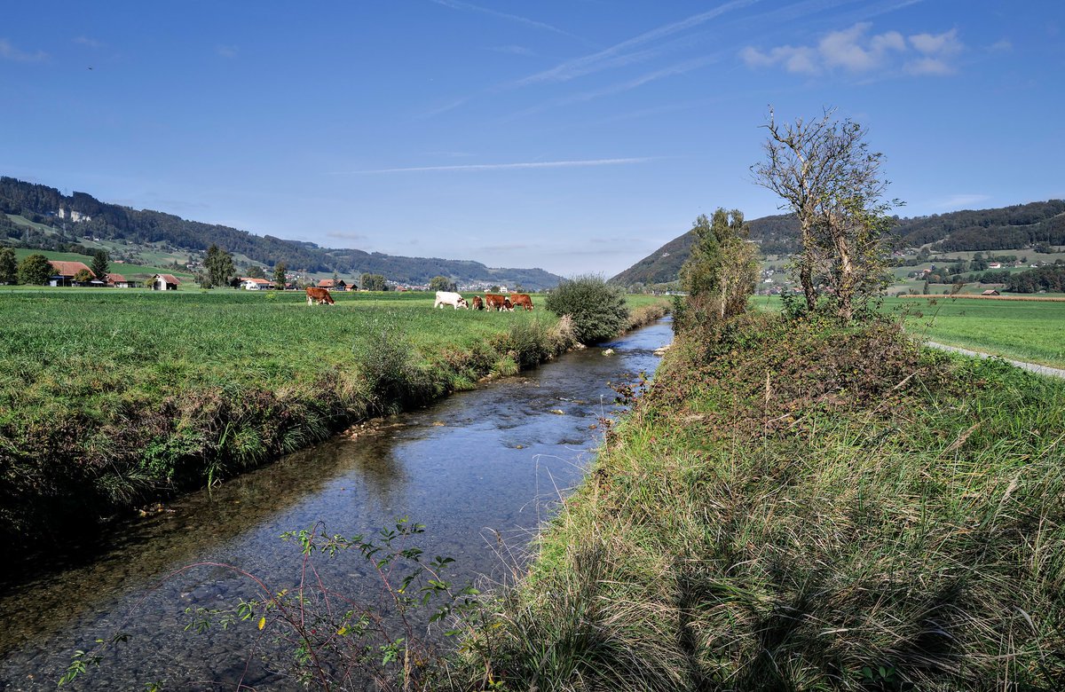 Noch in 1km Entfernung zu Ackerflächen kommen im Grundwasser weniger Flohkrebse vor - eine Zeigerart für Wasserqualität. Forschende der <a href="/EawagResearch/">Eawag</a> schliessen daraus, dass Schutzzonen um Wasserfassungen womöglich zu klein sind, um Belastungen zu verhindern.