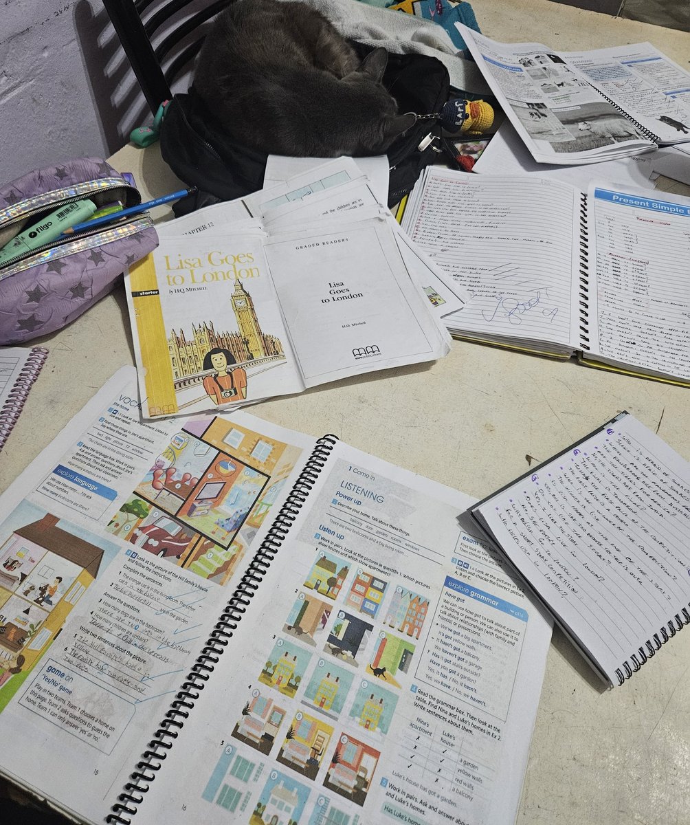 Estoy estudiando a las 4:30am por q mañana tengo dos exámenes finales de mi academia de inglés, y pensar q empezé a estudiar para entender los streams de quackity y a los idols