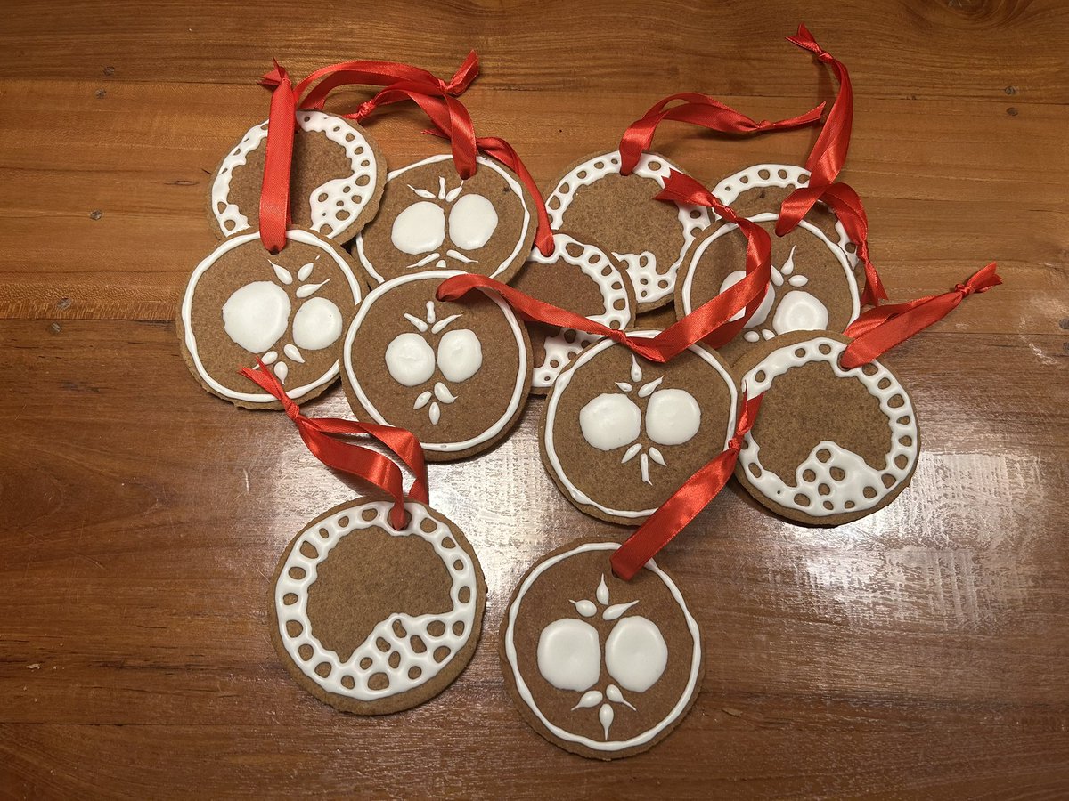MartadeRuijter's tweet image. I made Xmas cookies for the lab…may your 2025 be full of exciting  (embryo) development 😉 !