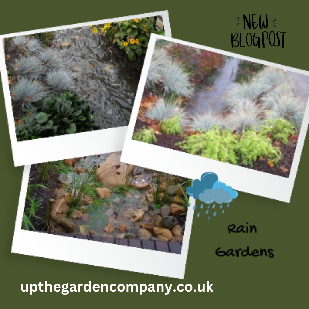 UpTheGarden Company tweet media