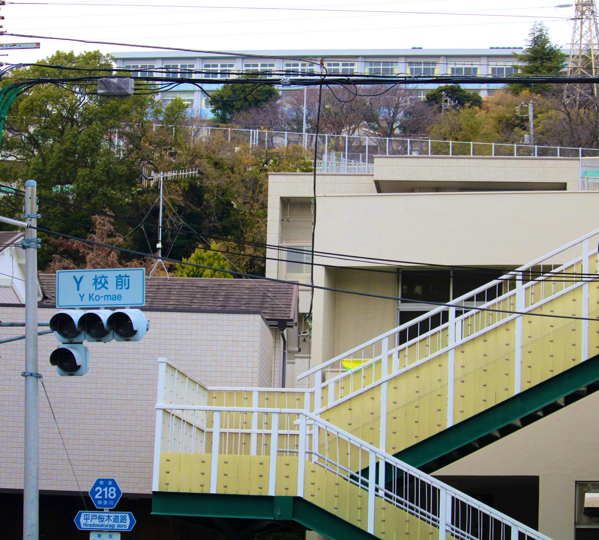 横浜清陵 グラコン ジャケット 21世紀枠 甲子園 選抜 横浜清陵 グラコン ジャケット 21世紀枠 甲子園 選抜（金子真仁
