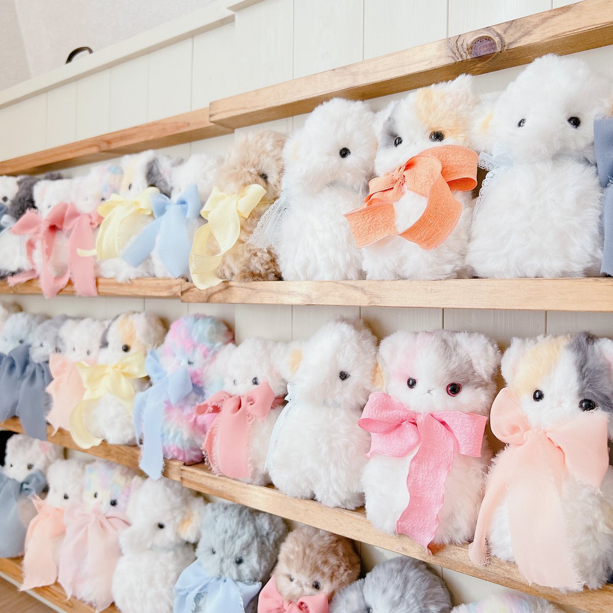 ヨコハマハンドメイドマルシェ

12/14(土)のみの出店

⚪︎ブース番号
C-79

写真ここ全て、
40匹ほど連れて行きますが、
前回よりかなり数が少なめなため、
開始12時までは1人2匹までの予定です☺️
(12時間過ぎましたら、個数制限はありません)