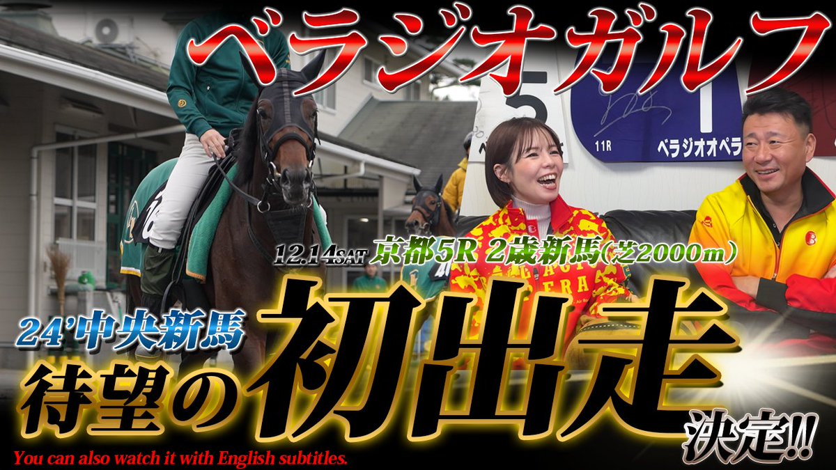 bella_ch_staff's tweet photo. 「ベラジオガルフ」 遂に24’中央新馬デビュー決定!! https://t.co/XqEw0dZ2mi 

千葉サラ2024で9,000万円の高額で落札された
期待の新馬🐴
見違えるほどの成長を遂げ
いよいよ12月14日（土）京都競馬にて
24年度中央新馬の初陣を切る🏇✨

新馬戦圧勝のオペラ・ボンドに続け!!

#ベラジオガルフ 
#新馬 https://t.co/mNuvLg6TB3