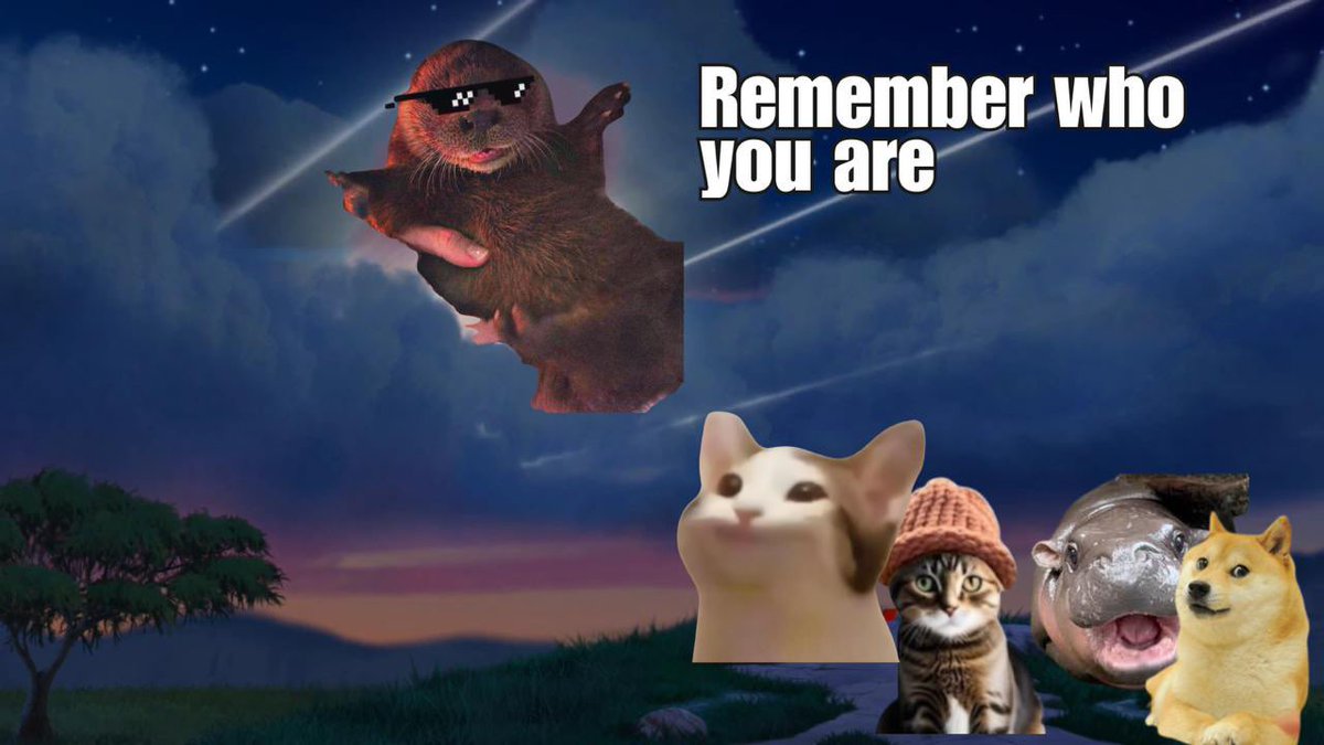 Ozzy the Otter 🦦 tweet media