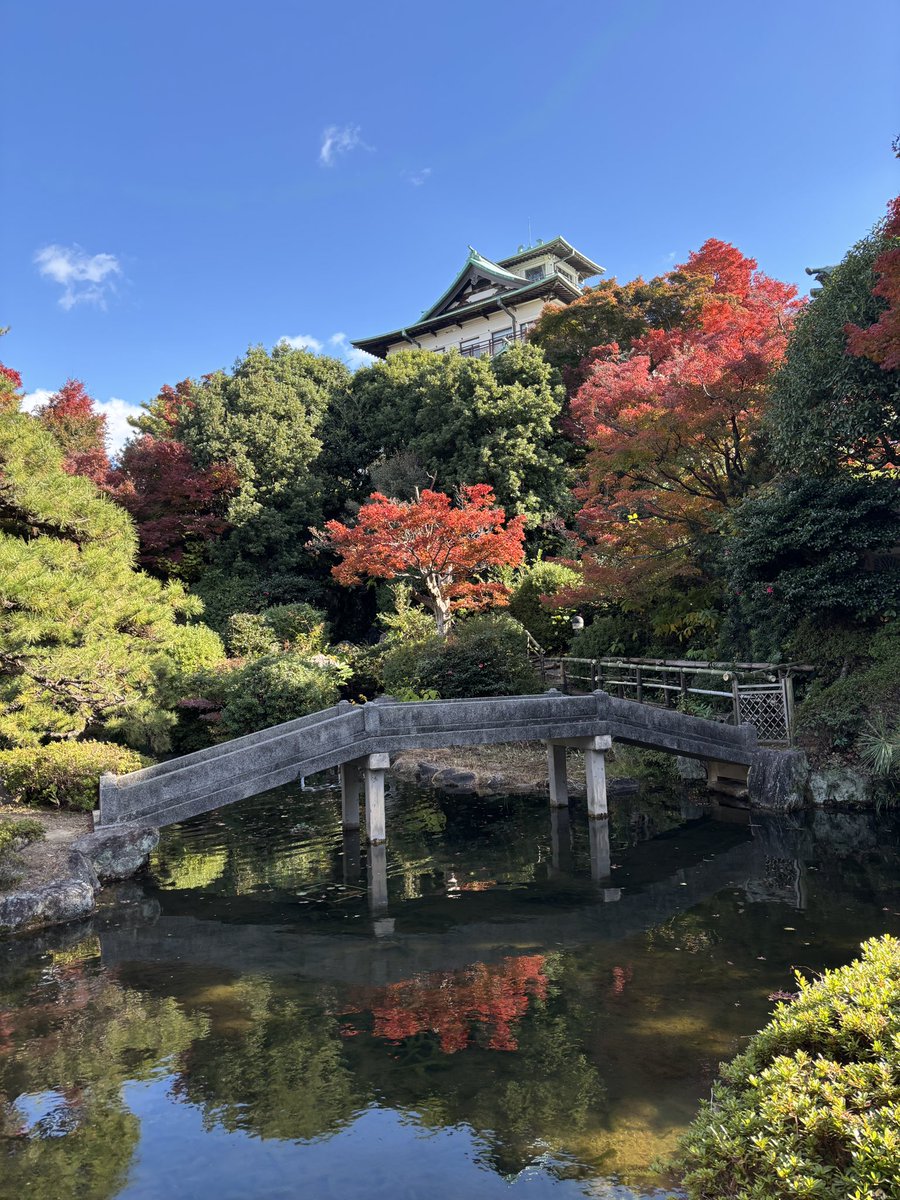 hiroakisuzuki7's tweet photo. 蒲郡クラシックホテル

オープン90周年だった。
建築家 久野節氏の設計。

個人的にはレストランの床にあるサイズが小さいパーケットフロアとバリエーション豊かな照明、金物が良かった。

竹島のビューがすごい。写真はない。
めっちゃ昔に建てた大型施設はロケーションが基本最強で良い。良い。 https://t.co/T53DEAYhVm