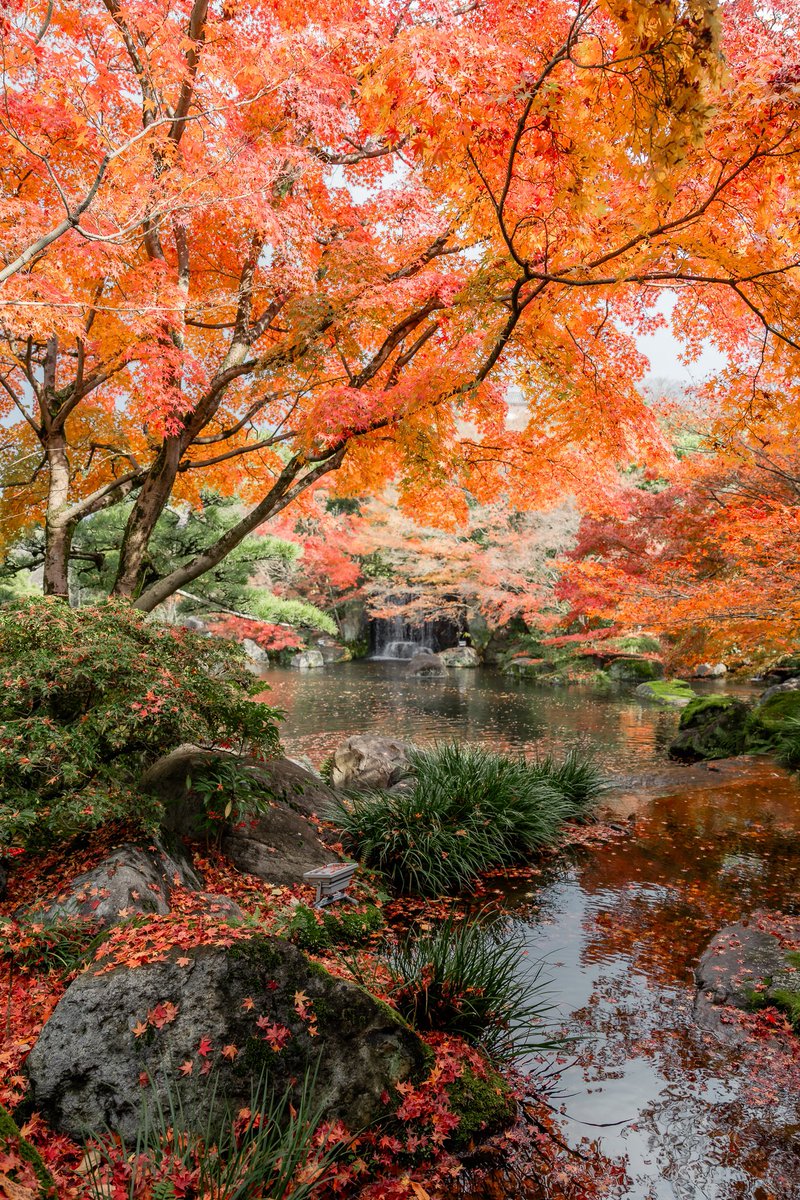 somuchmeth's tweet photo. น���ำตกสวยมากกก 🍁 https://t.co/CpzX4nUcIt