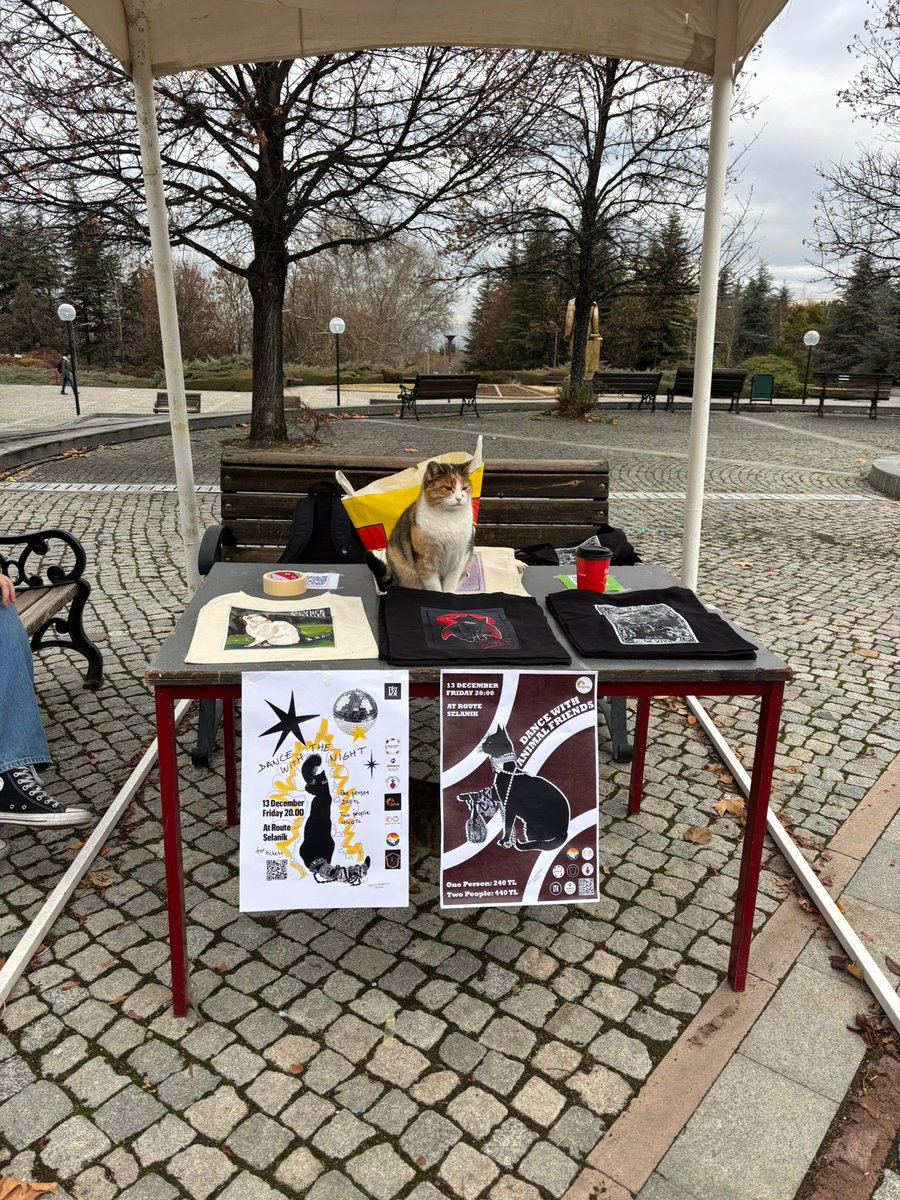 Bilet ve çanta satışlarımız standımızda devam ediyor kampüs kedilerimizin yer aldığı çantalarımıza göz atmak ve etkinliğimize bilet almak için bizi ziyaret edebilirsiniz 😽🥳