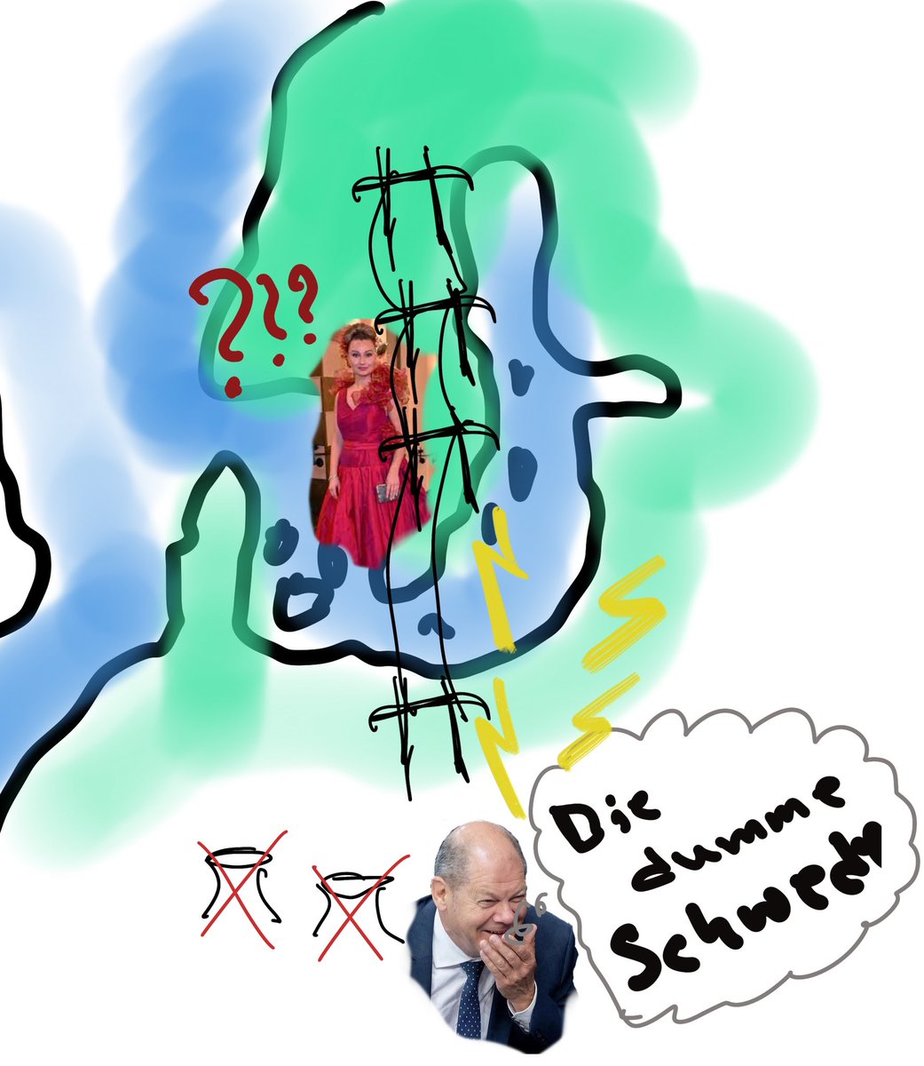 remeife's tweet photo. Die dumme schwede …. https://t.co/XCXhGPZfaN