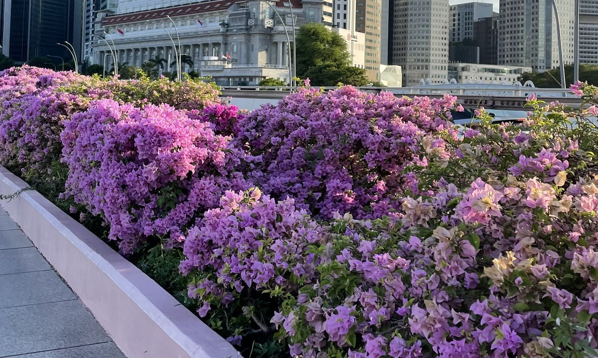 CHACA ♡ *ੈ✩‧₊˚ tweet media