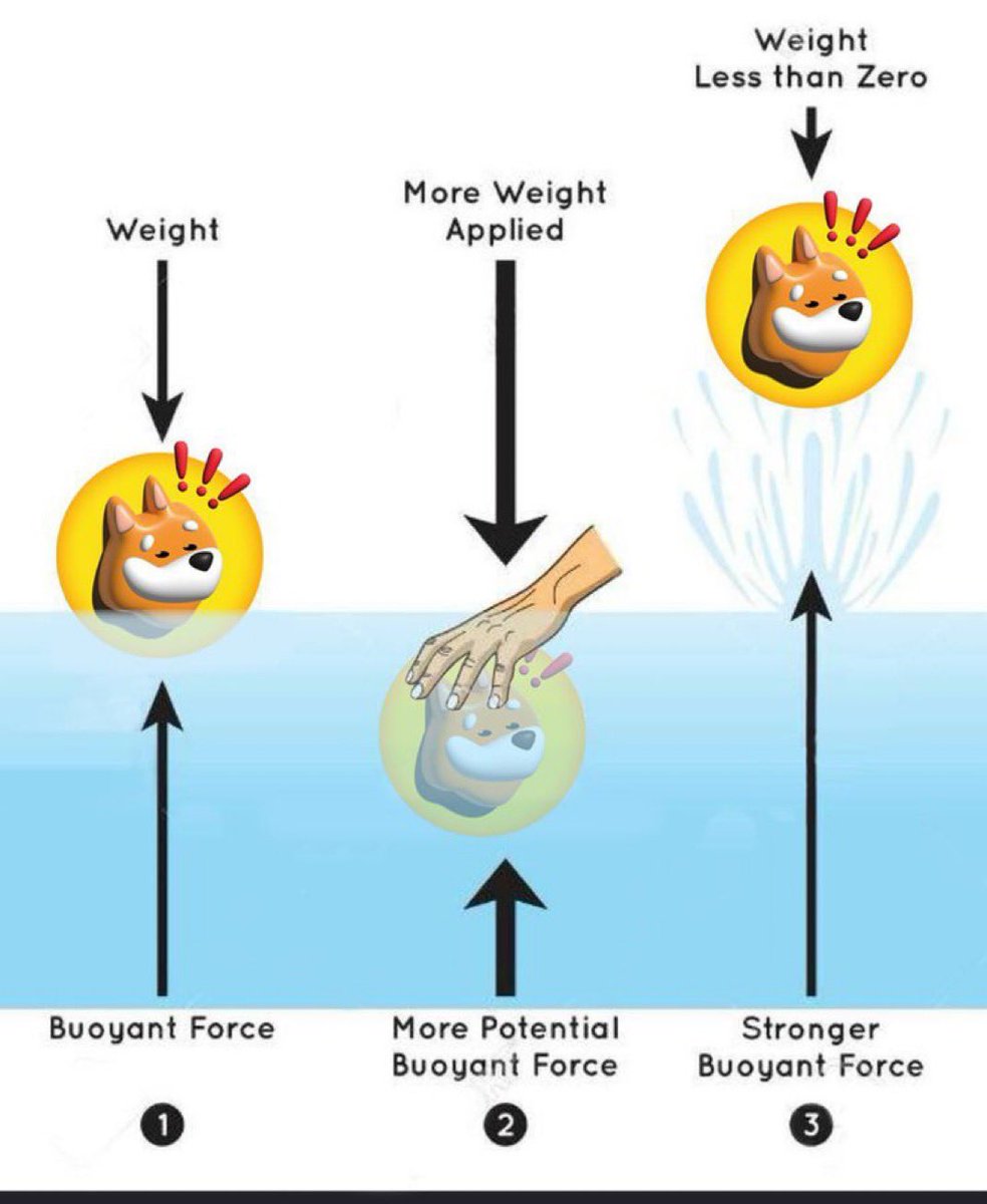 All you need to know

GN #LetsBONK