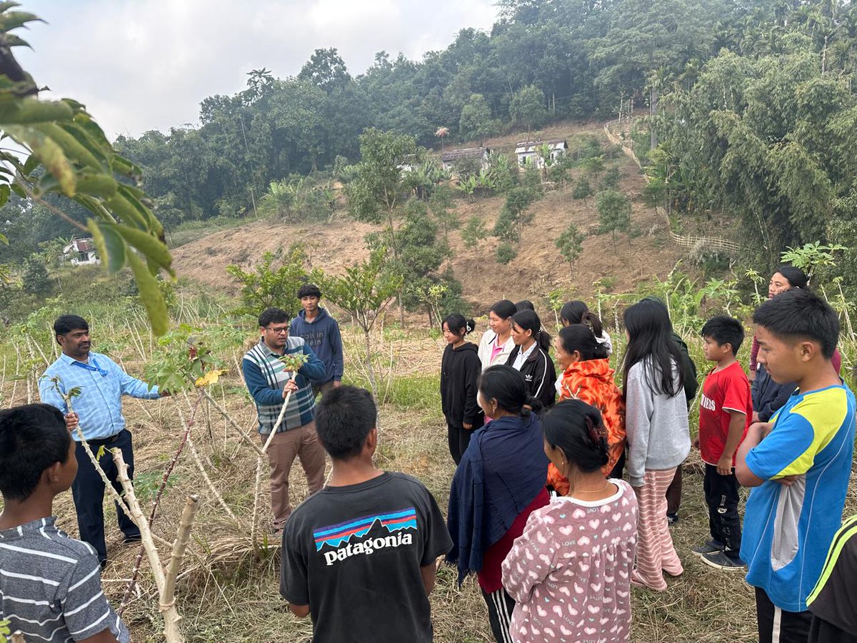 CmertiCsb's tweet image. A 3-day Training program on Tapioca-Based Ericulture was held at Kobulong, Mokokchung, Nagaland, from December 9-11, 2024. The program was led by Dr. Vijay N, Scientist with 65 farmers enthusiastically participating to learn about Ericulture and Tapioca management.
#Tapioca#Eri