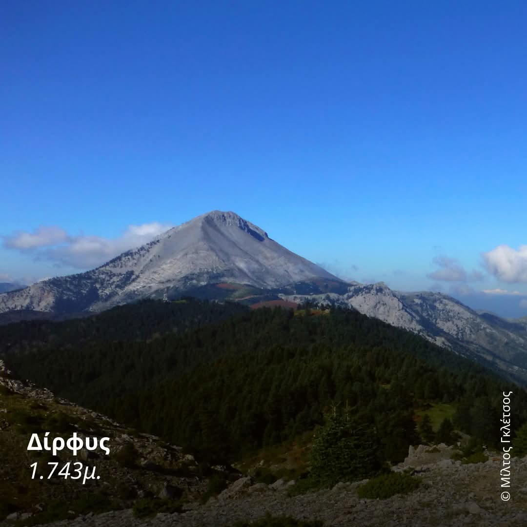 ΕΕΠΦ - HSPN tweet media