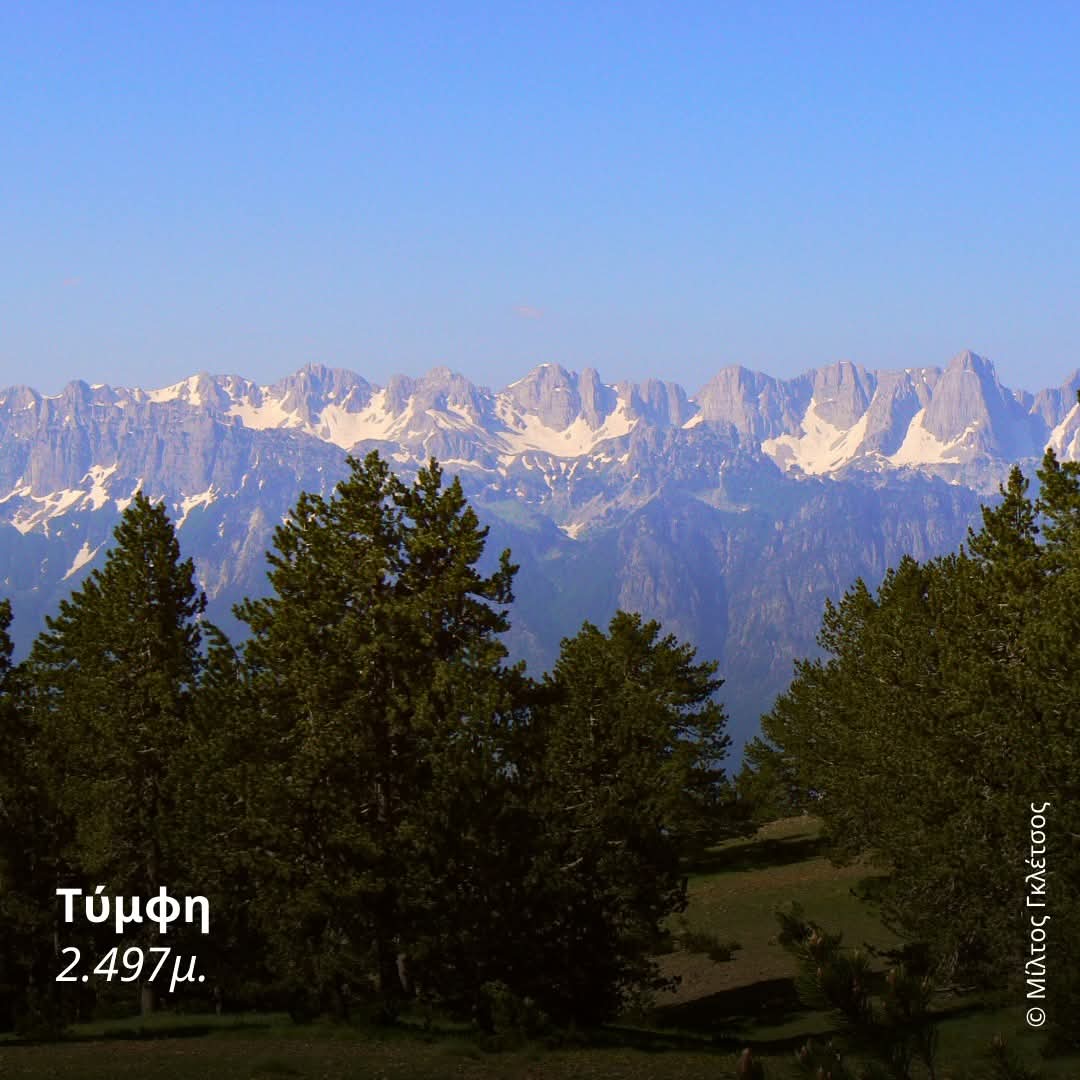 ΕΕΠΦ - HSPN tweet media