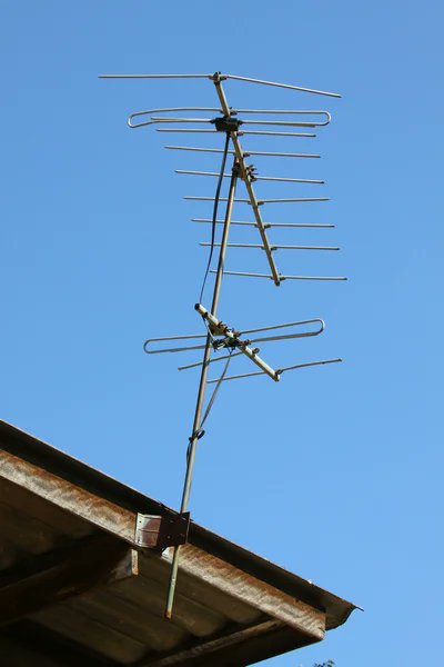 Have you ever watched Tv using this antenna?
