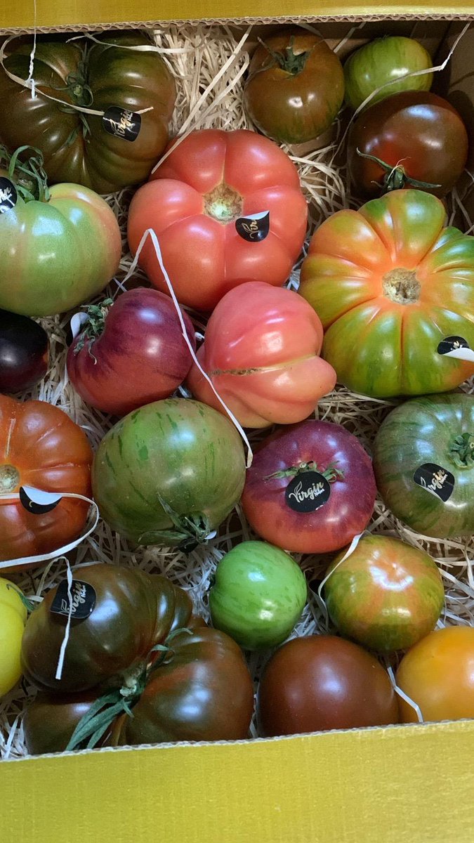 NaturaFirst's tweet photo. Heritage Mix Tomatoes, Cherry Vine &amp; Vine Tomatoes just arrived! 🚛😍🍅🤩 #Cherrylicious https://t.co/uKEEanZaoZ