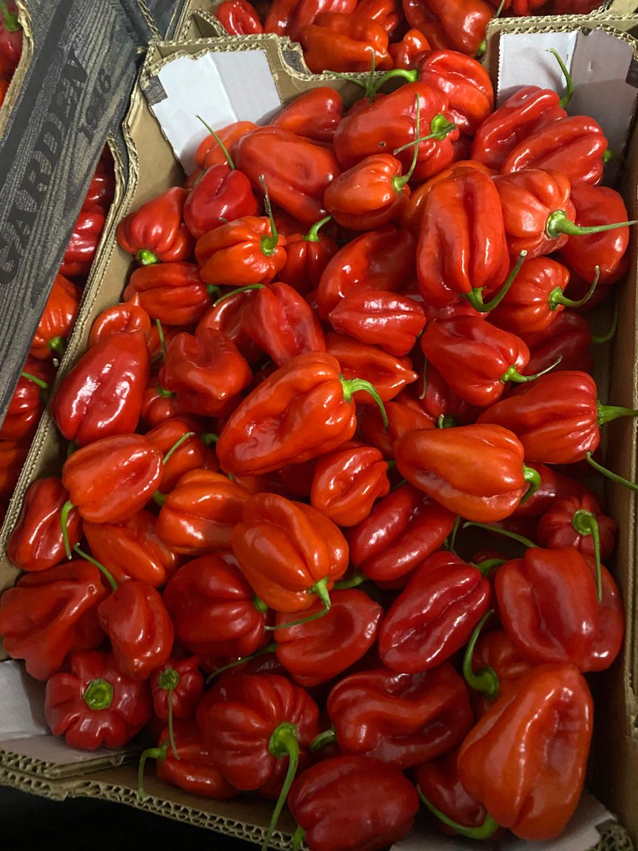 Need to warm up?🥶 You know where to order! 🗒️🥵🤩 #Chillicious #Pepperfectness