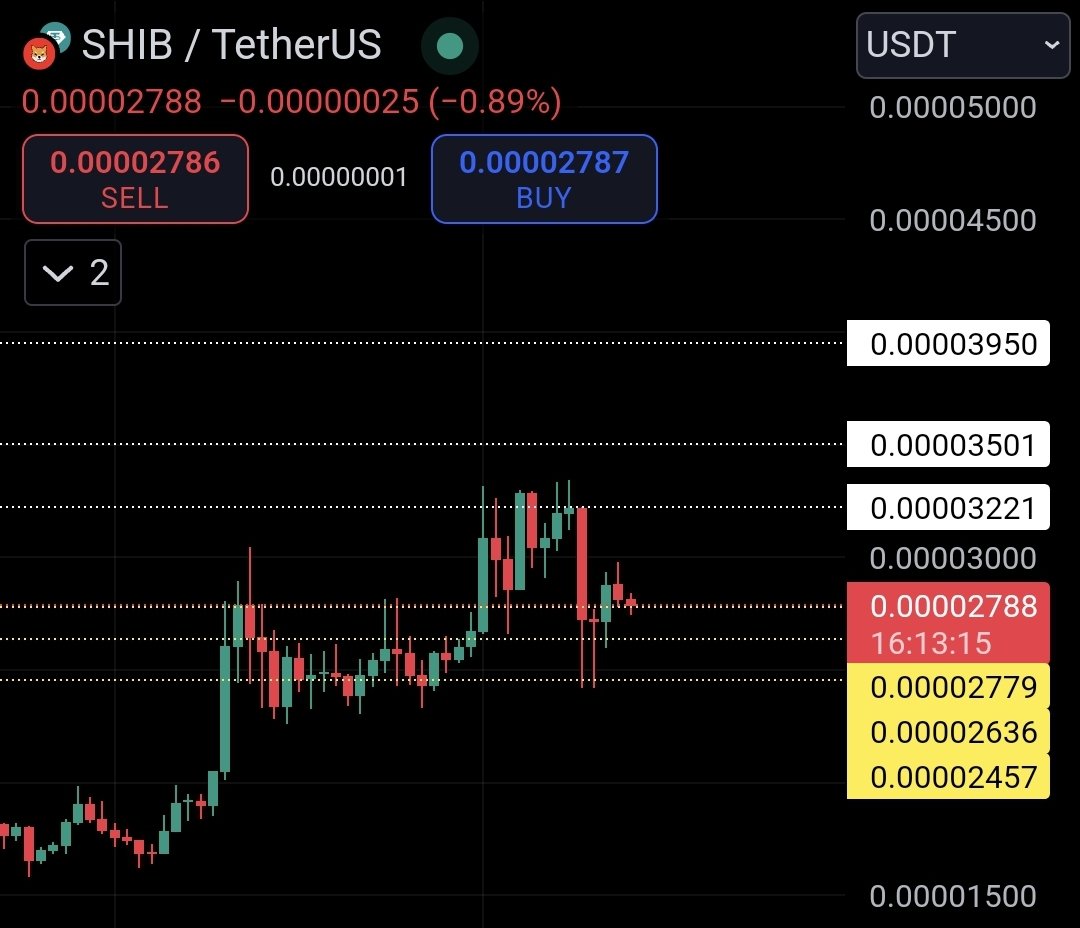 $SHIB KNIGHT tweet media