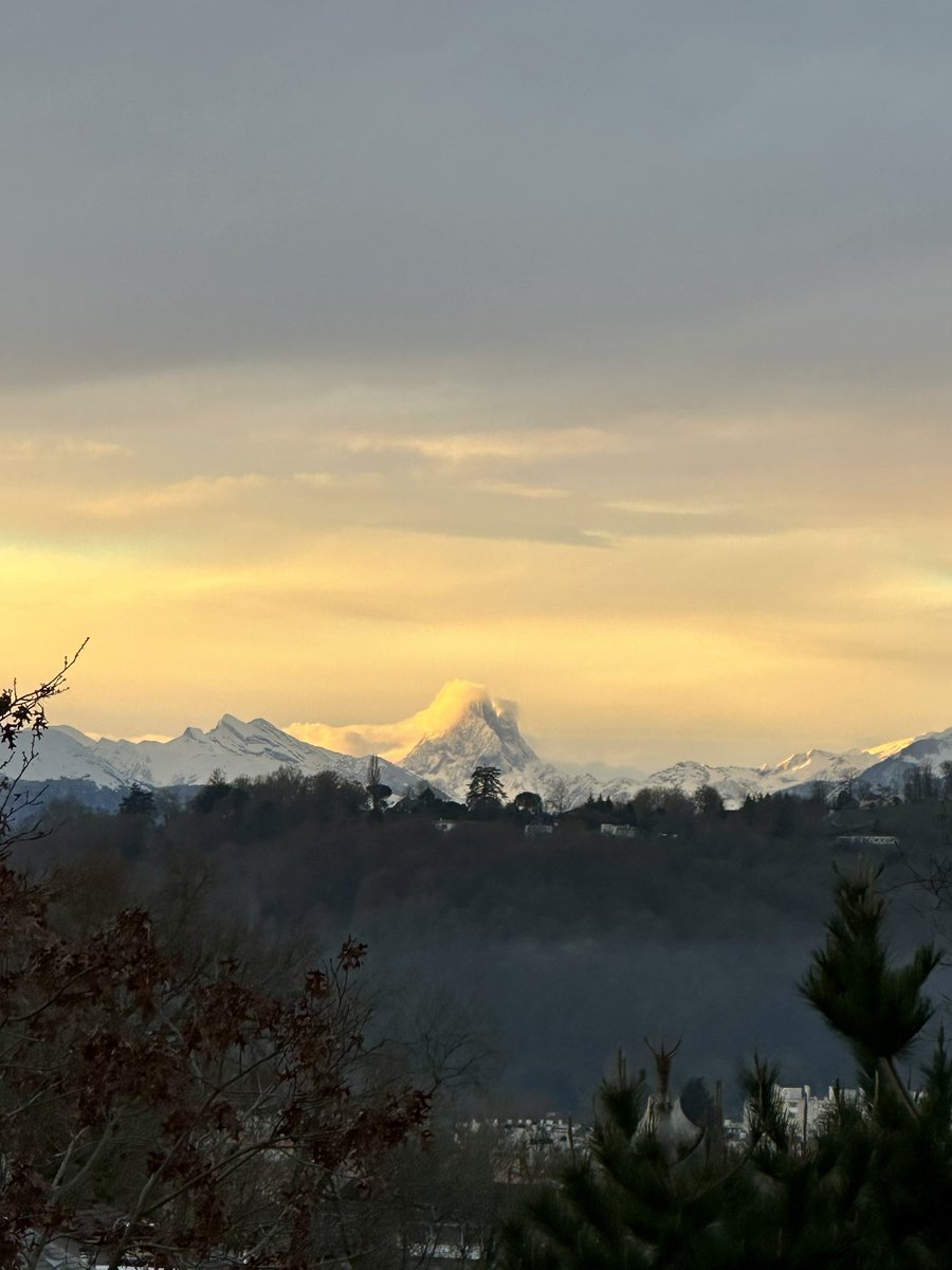 Mayol64's tweet image. Drìn de ret, Jean-Pierre a mis l’écharpe ce matin #ossau