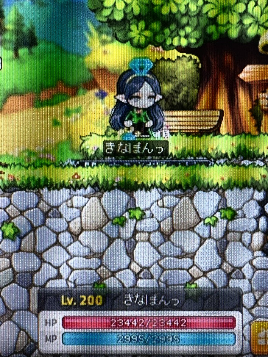 ぽんのんっ tweet media