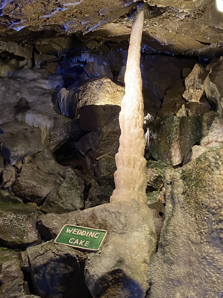 Crossley Hall Primary School tweet media