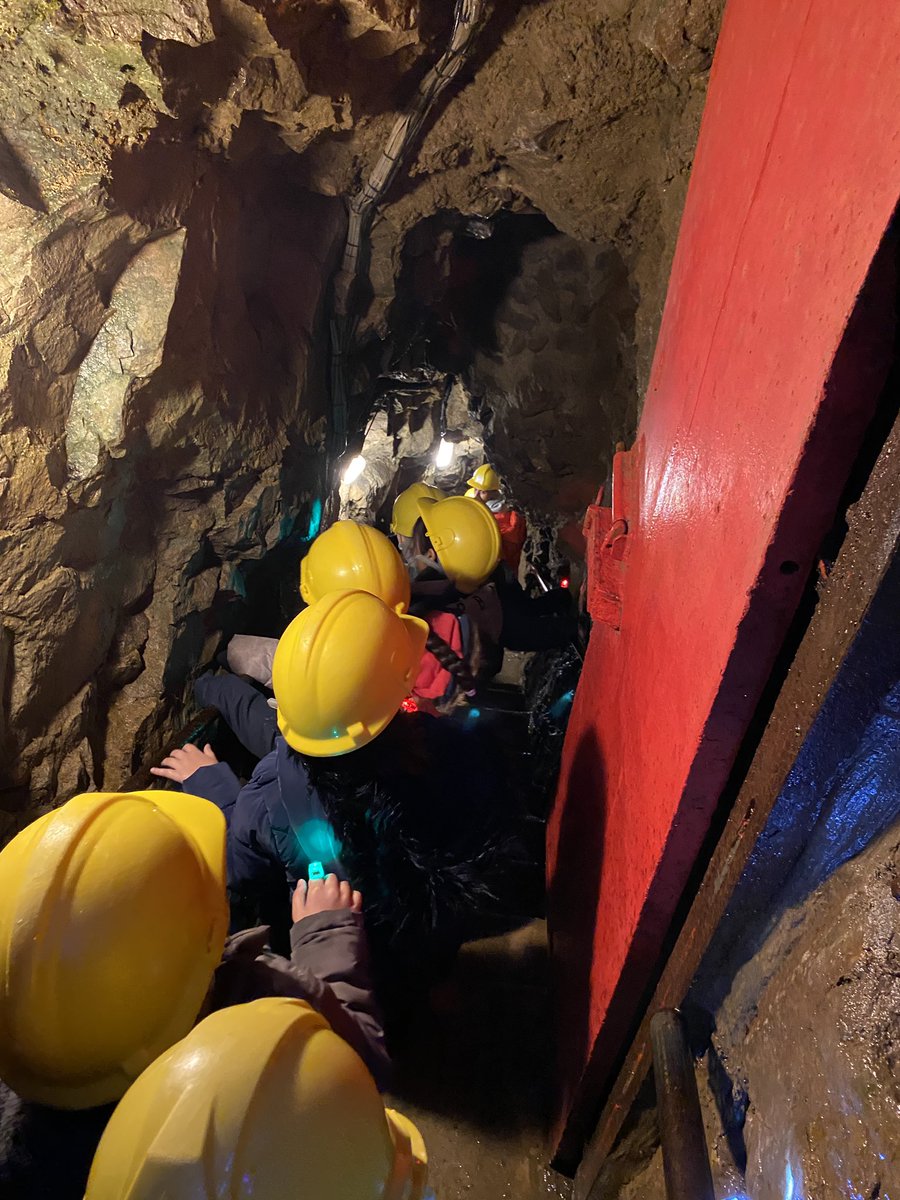 Crossley Hall Primary School tweet media