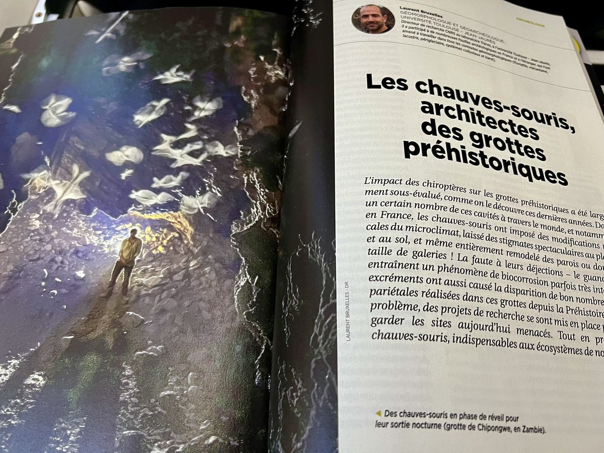 Laurent Bruxelles (@bruxelleslauren) on Twitter photo Dans le dernier numéro de <a href="/maglarecherche/">La Recherche</a>, en kiosque depuis hier, retrouvez un article sur la #biocorrosion liée à la présence des #chauves-souris en #grotte. On parle de #climat, d’#environnement, d’#archéologie et de protection de la faune. <a href="/umr5608_traces/">TRACES labo d'archéo SUSPENDU🦋</a> <a href="/CNRS_Toulouse/">CNRS Occitanie Ouest</a> @cnrs Dans le dernier numéro de <a href="/maglarecherche/">La Recherche</a>, en kiosque depuis hier, retrouvez un article sur la #biocorrosion liée à la présence des #chauves-souris en #grotte. On parle de #climat, d’#environnement, d’#archéologie et de protection de la faune. <a href="/umr5608_traces/">TRACES labo d'archéo SUSPENDU🦋</a> <a href="/CNRS_Toulouse/">CNRS Occitanie Ouest</a> @cnrs