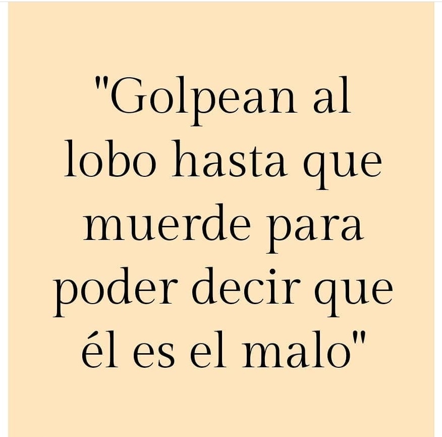 Wynonita tweet media