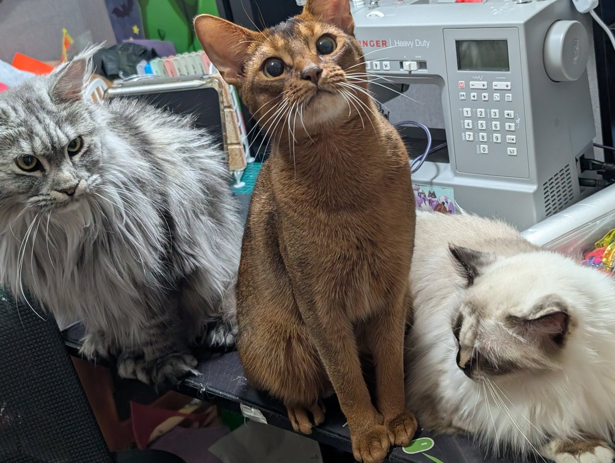 OrzKwan's tweet photo. 畫了個全家福
#Cat #貓 #猫 #香港貓 #hkcat https://t.co/BarrKMjBwu