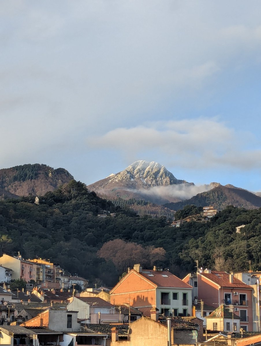 Bon dia. Així es lleven les Agudes després d'aquest episodi de #neu. La cota de neu s'ha situat finalment entorn dels 1.500 mts aprox. #montseny