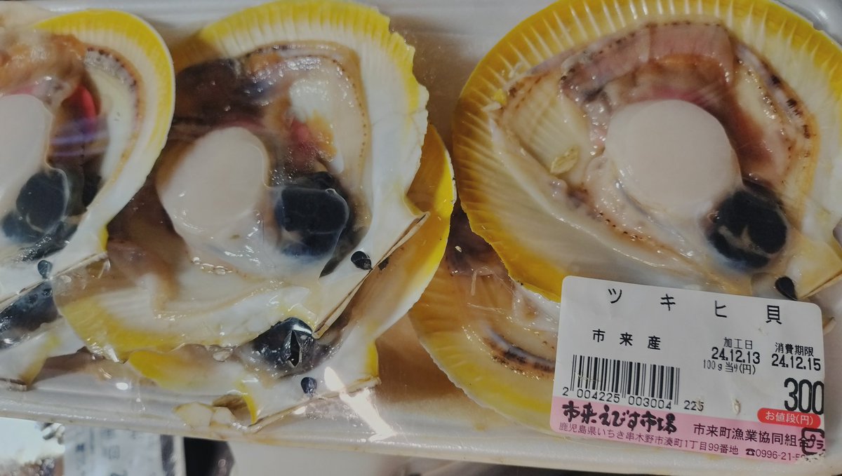 harumarict1250's tweet photo. 曇天の中、吹上浜へプチツーリング。市来えびす市場で月日貝６枚３００円な���て素敵♫ https://t.co/ACyqjsuQtH