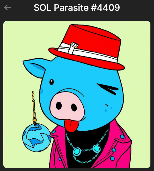 solanaBiscuit's tweet photo. There are @PiggySolGang  NFTs, and then there are Impersonators @SOLParasitesNFT 😆I like 'em both. https://t.co/r5vphvkChS