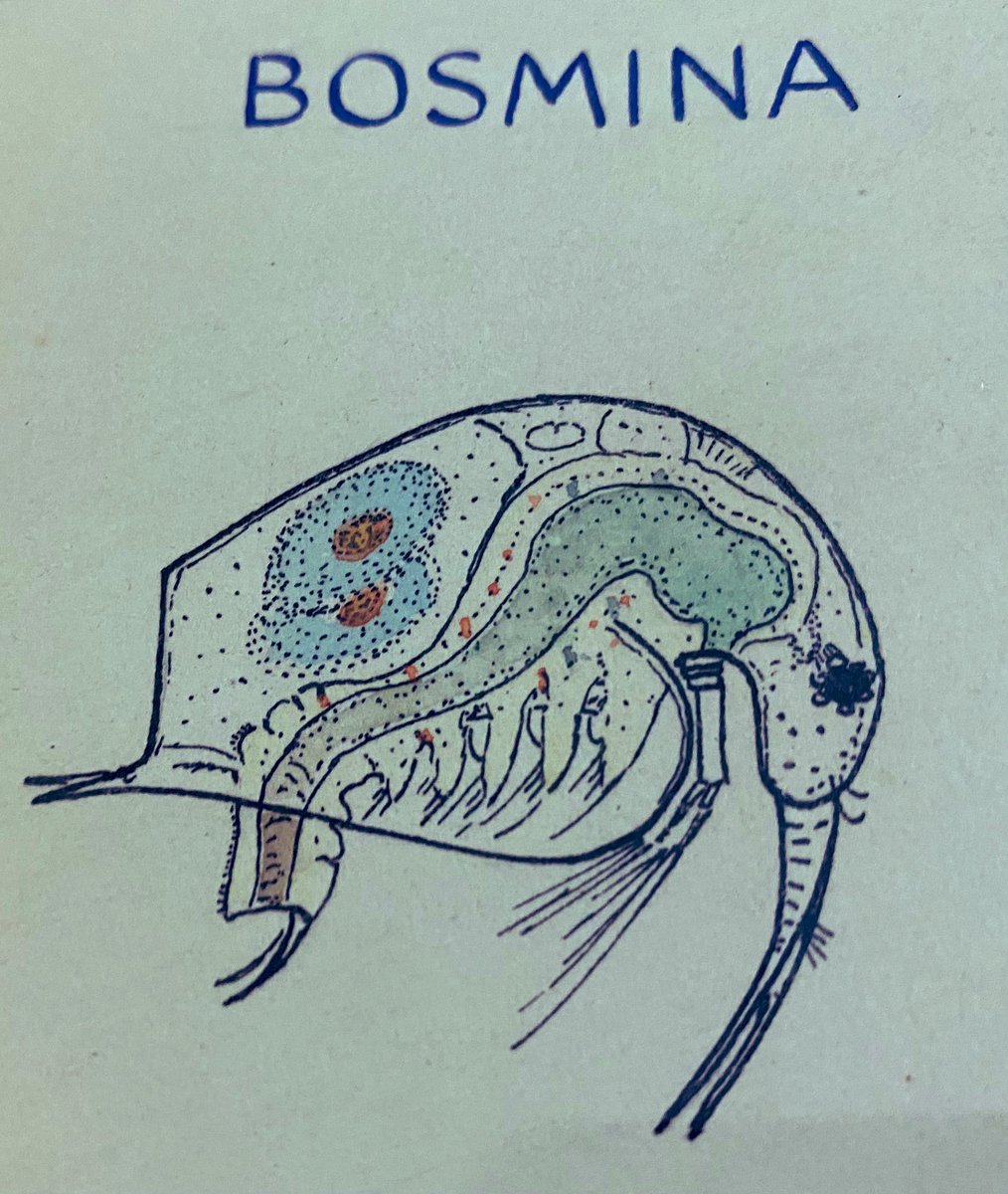 Freshwater Biological Association (FBA) tweet media