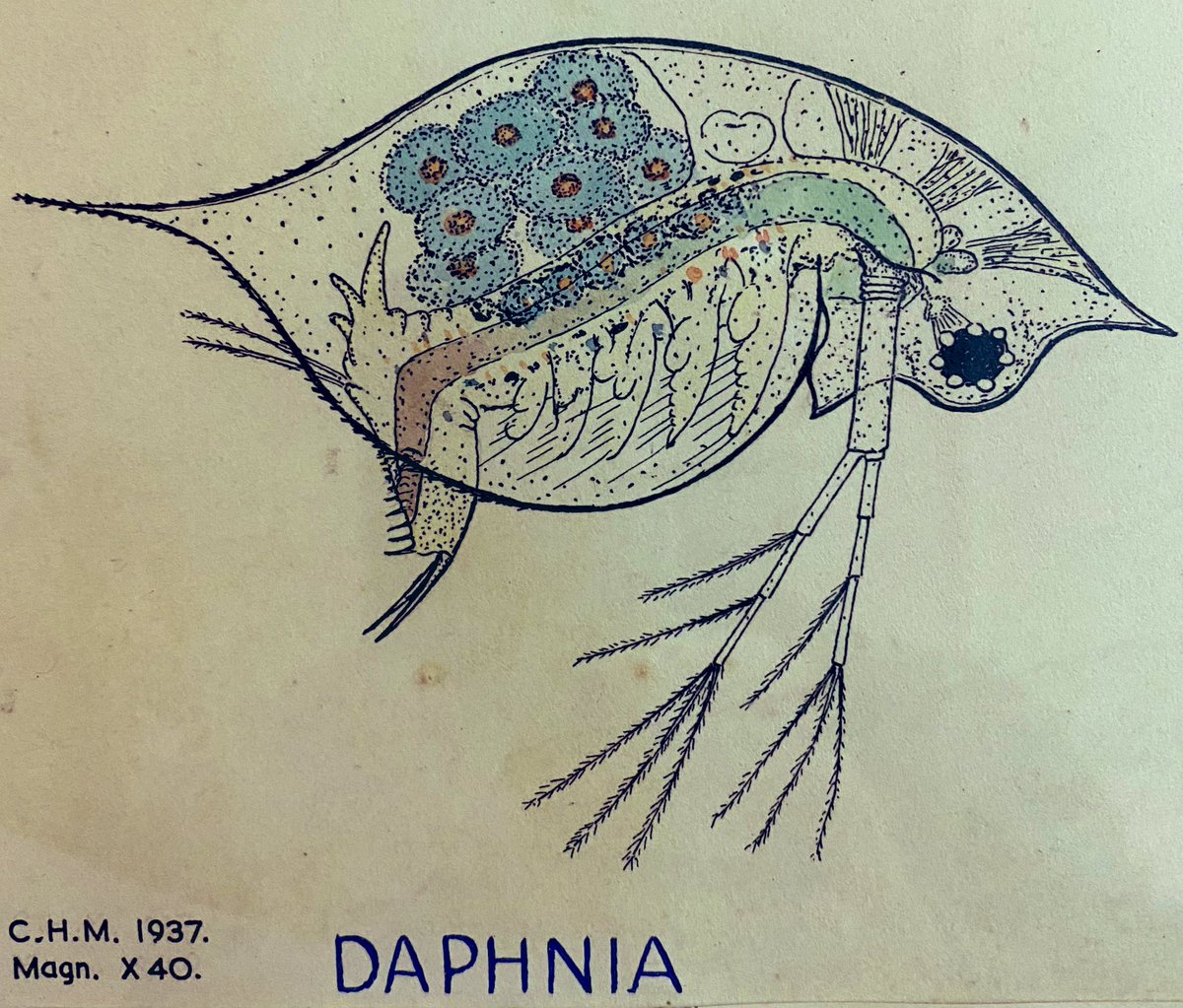 Freshwater Biological Association (FBA) tweet media