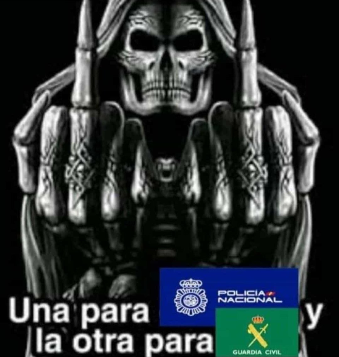 feliz 1312