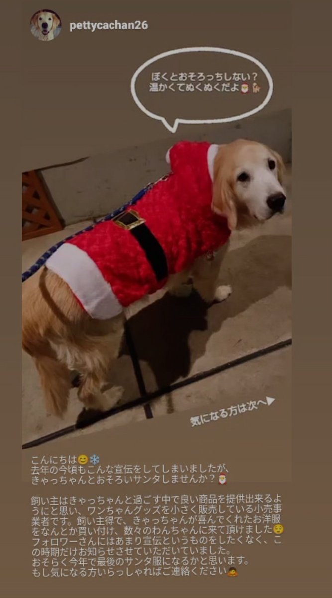 wancachan's tweet photo. 【沢山あまって困ってます😢】
実はわんちゃんのお洋服や便利用品を小さなお店で販売しています。
きゃっちゃんが着てくれたサンタ服🎅沢山のワンちゃんにも着てもらいたい販売しておりましたが今年で最後の予定です。最後ということもあり沢山仕入れてしまった為、現在在庫が余っています💦 https://t.co/2xIy02P2li