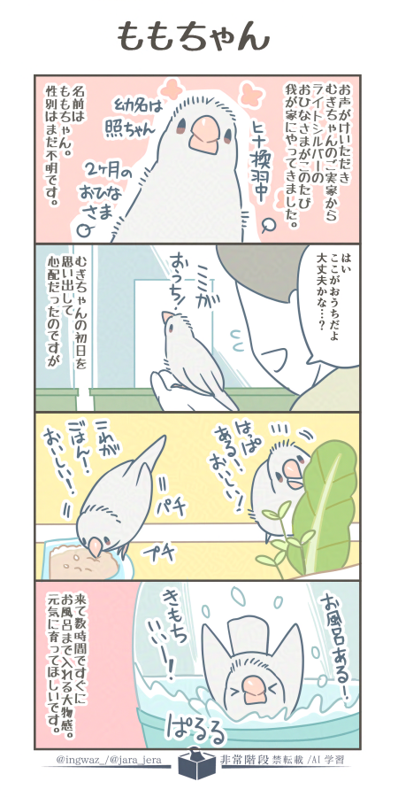 ももちゃん🍑

#漫画が読めるハッシュタグ #Buncho #文鳥 