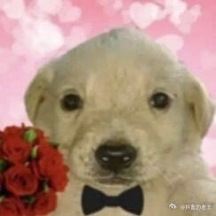 greefle's tweet photo. @SillVeylin ТАК ТАК ТАК БУМ ЛАСКА🙏🙏😭💛💛💛💛 https://t.co/KXWk0A0Zc5