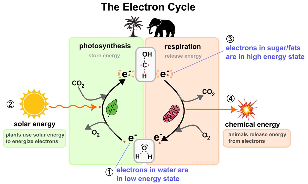Dorian Leger tweet media