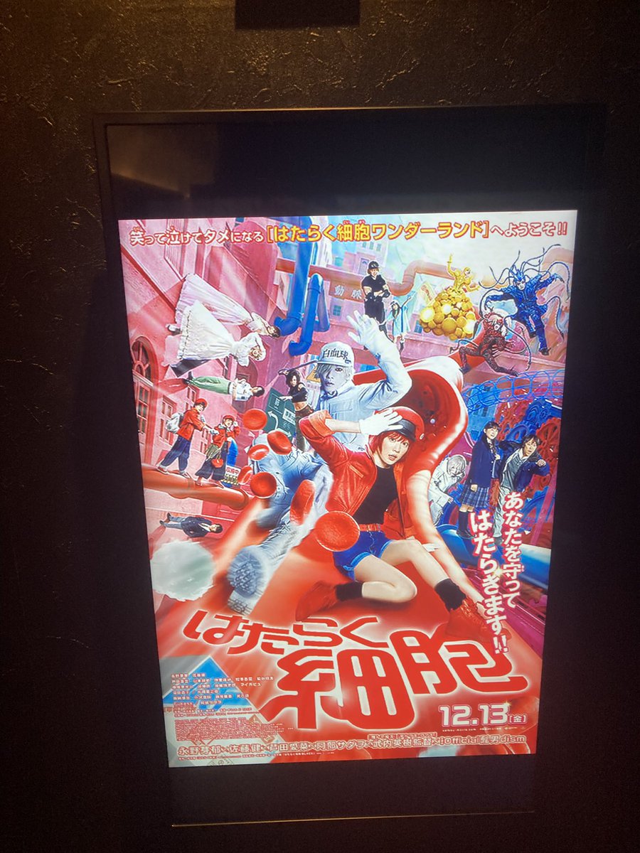 AoXVX9hmlZ2SelM's tweet image. 芽郁ちゃ〜ん
#はたらく細胞　見たよぉ〜
６年前の半分青い見てたから、６年ぶりの
#永野芽郁さん　#佐藤健さん　の共演最高だったよ！何回も見に行くからね！
芽郁ちゃん大好きだよ❤️
うちの小学生の頃からの目標、夢
芽郁ちゃんに会いたい🙂‍↕️
#永野芽郁
#はたらく細胞さんありがとう