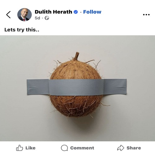 CoconutCto's tweet image. 