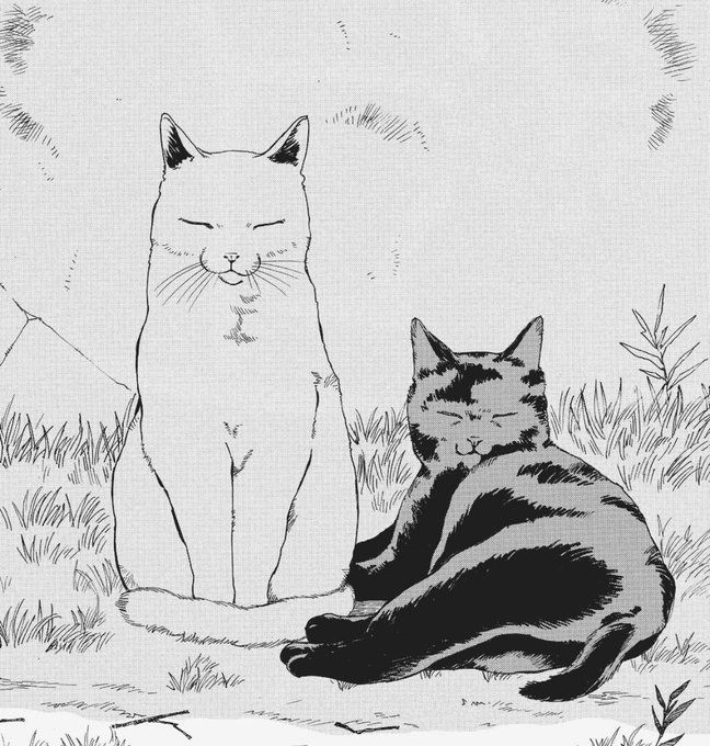 Out Of Context Manga (@mangacontexts) on Twitter photo 