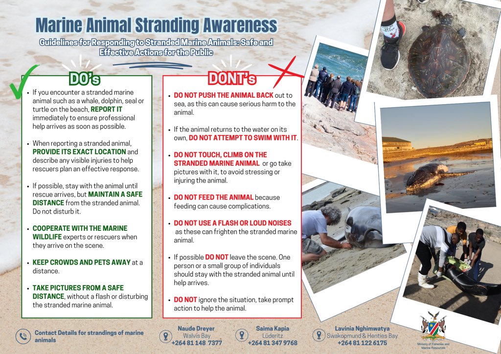 Ministry of Fisheries & Marine Resources, Namibia tweet media