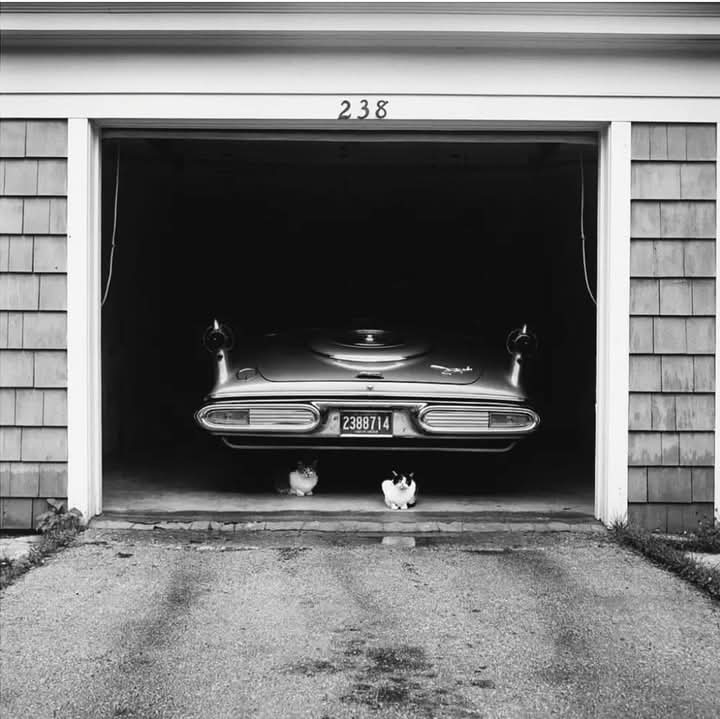 sylvie_longeron's tweet photo. Vivian Maier
Untitled (Chrysler Imperial Crown), 1957
Chicago, Illinois https://t.co/Pco9C5D5vx