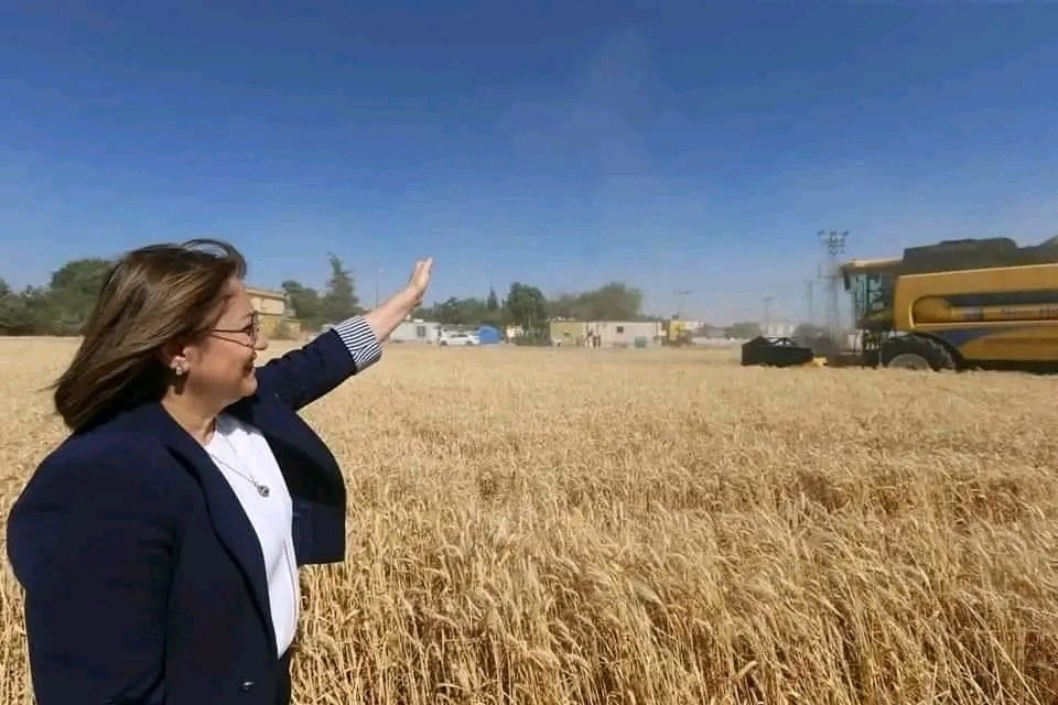 Tarihten bir yaprak 
Gaziantep Büyükşehir Belediye Başkanlığı ile ortak yürütmüş olduğumuz projelerimiz kapsamında Sayın Fatma Şahin'in katılımıyla gerçekleşen enstitü çeşitlerimizle ilgili yapmış olduğumuz hasat şenliği 
<a href="/tagemgovtr/">Tarımsal Araştırmalar ve Politikalar Genel Md.</a> 
<a href="/GaziantepBeld/">Gaziantep Büyükşehir</a> 
<a href="/bahridagdas/">Bahri Dağdaş Uluslararası Tarımsal Araştırma Ens.</a> 
<a href="/mkarayilan27/">MANİSA TARIM VE ORMAN İL MÜDÜRÜ</a>