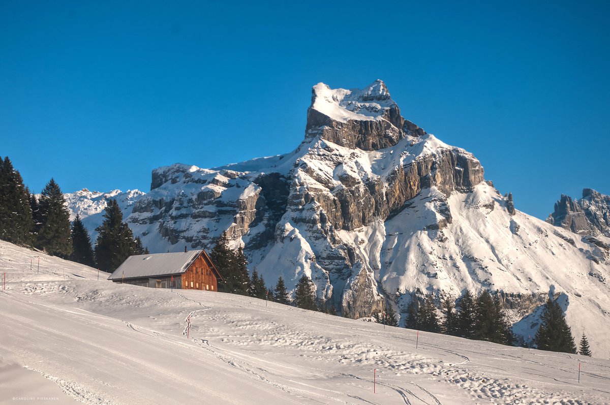 juiz_nidwalden's tweet photo. Geniesse eine Winterwanderung auf dem Brunni oder eine Schlittenfahrt 🛷 von Brunnihütte-Ristis. ☀️
Die Skipiste Brunnihütte-Ristis ist offen und ab morgen auch der Klostermatte Bügellift. ⛷️
ℹ️✅ https://t.co/2NwzVARqI9
#Engelberg #tellpass #Switzerland https://t.co/RD0ftI1L0l
